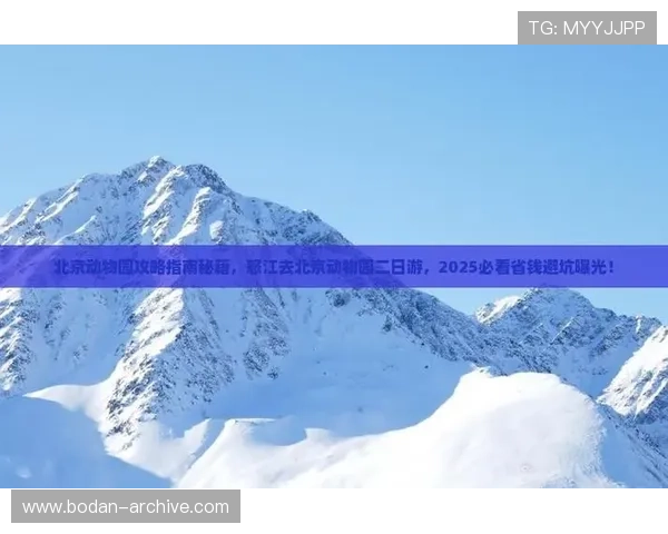 怎么分析波胆最准避坑指南极速提现技巧 怎么分析波胆最准避坑指南极速提现技巧