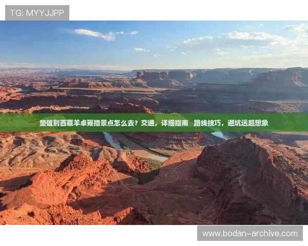 大型体育赛事预热篮球竞猜防骗避坑指南